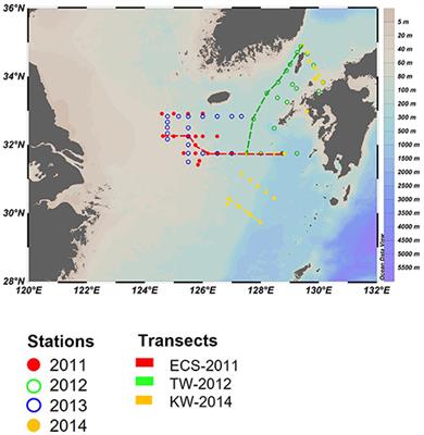 High-Resolution Vertical Observations of Phytoplankton Groups Derived From an in-situ Fluorometer in the East China Sea and Tsushima Strait